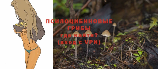 2c-b Белоозёрский