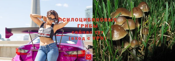 гидра Беломорск