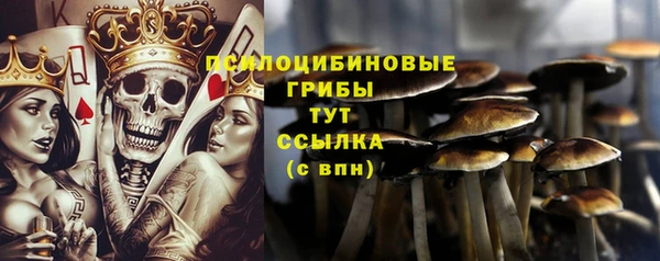 круглые Белокуриха