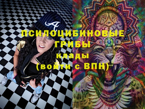 круглые Белокуриха