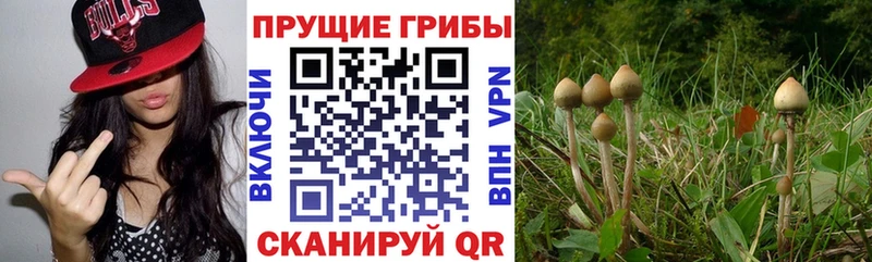 Псилоцибиновые грибы ЛСД  Гаврилов-Ям 